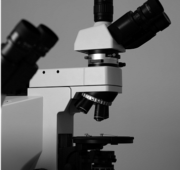 Как выбрать микроскоп: прямой, инвертированный или стерео? Особенности в конструкции и возможные методы контрастирования